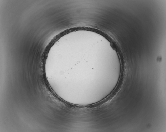 X0000111240926200907231525