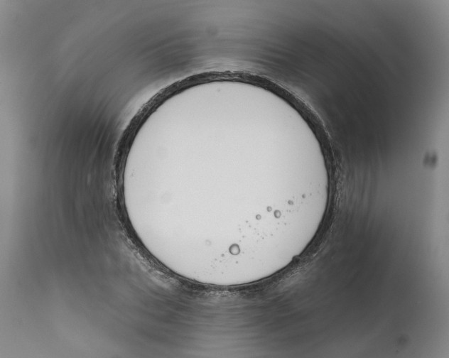 X0000111240927200907231525