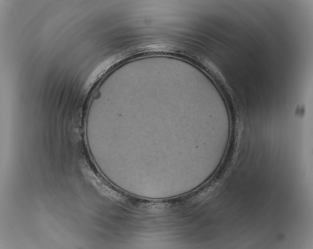 X0000111240930200907231525