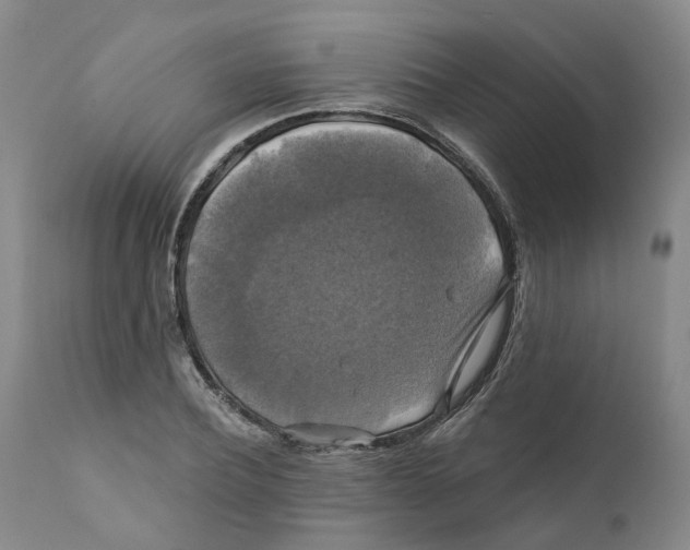 X0000111240932200907231525