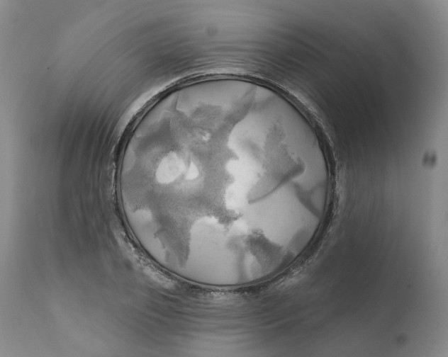 X0000111240933200907231525