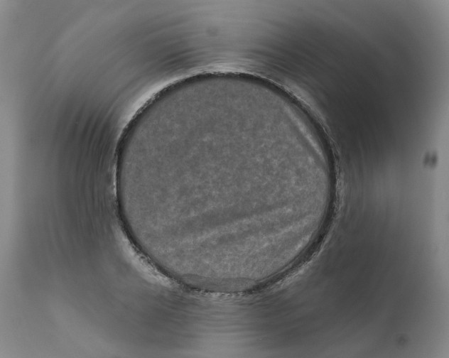 X0000111240934200907231525