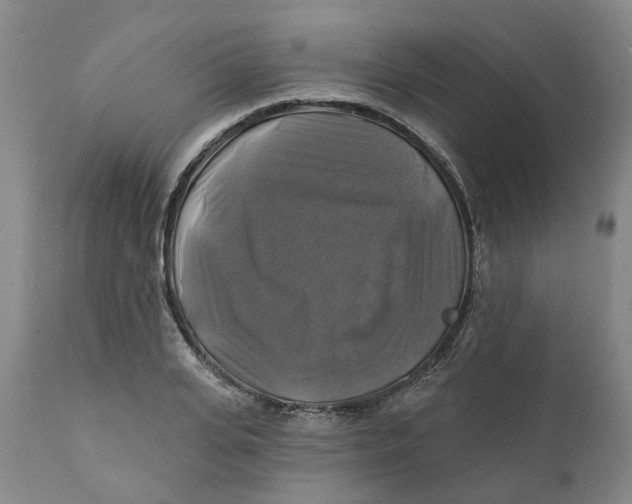 X0000111240935200907231525