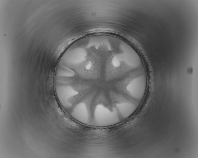 X0000111240937200907231525