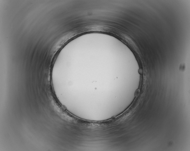 X0000111240938200907231525