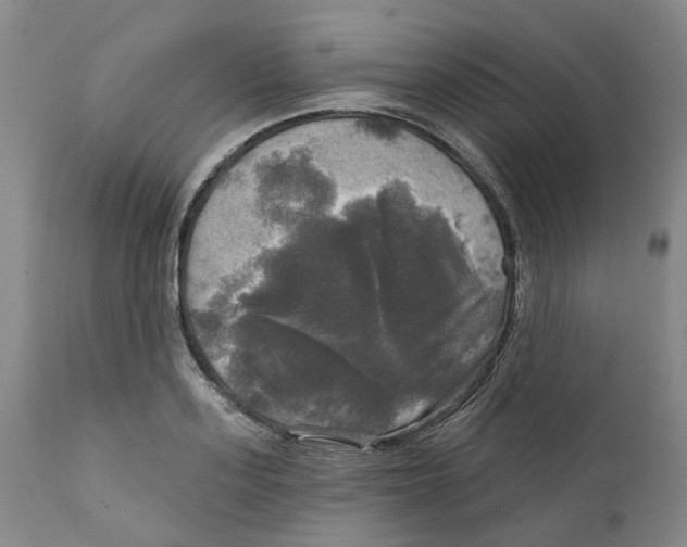 X0000111240939200907231525