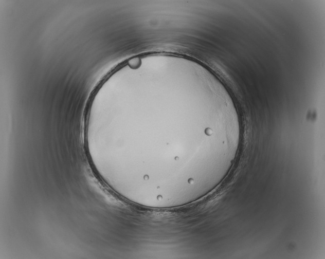 X0000111240940200907231525