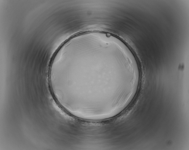 X0000111240941200907231525