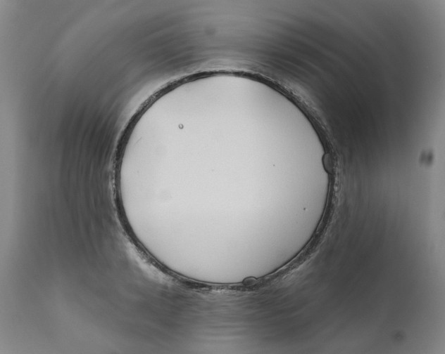 X0000111240942200907231525