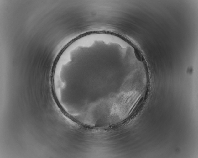 X0000111240943200907231525