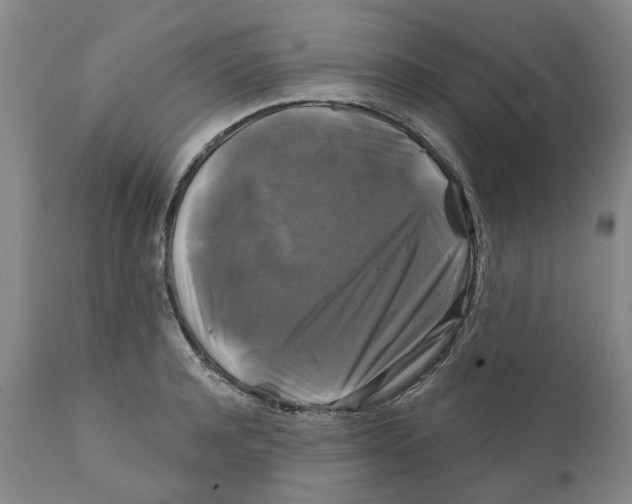 X0000111240944200907231525