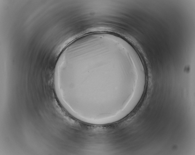 X0000111240945200907231525