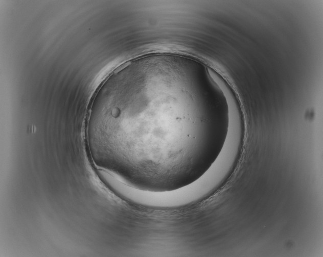 X0000111240946200907231525