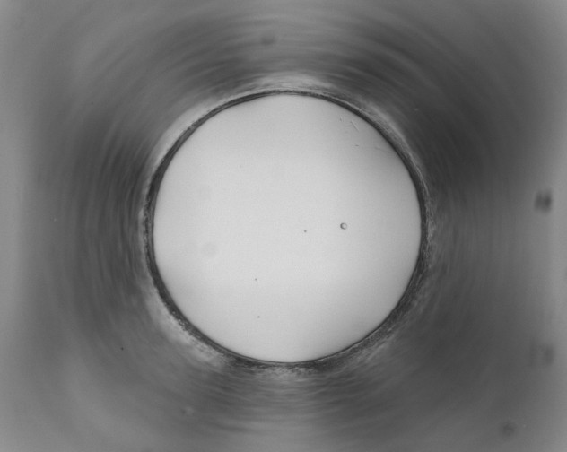 X0000111240947200907231525