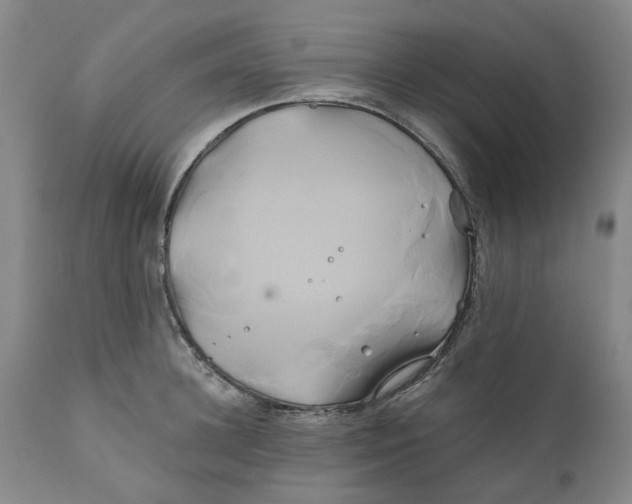 X0000111240948200907231525