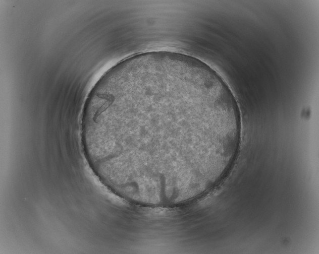 X0000111240949200907231525