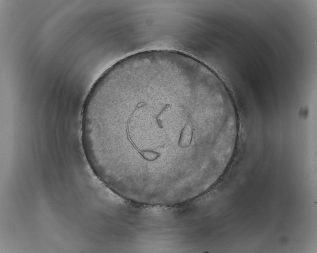 X0000111240950200907231525