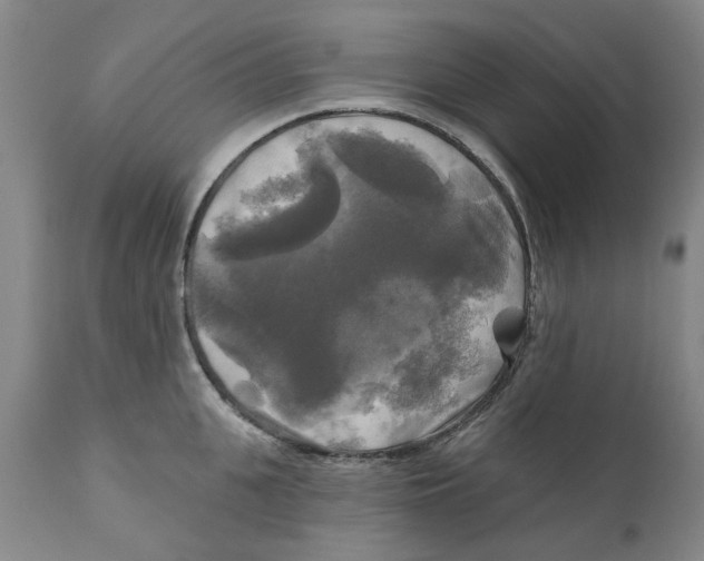 X0000111240951200907231525