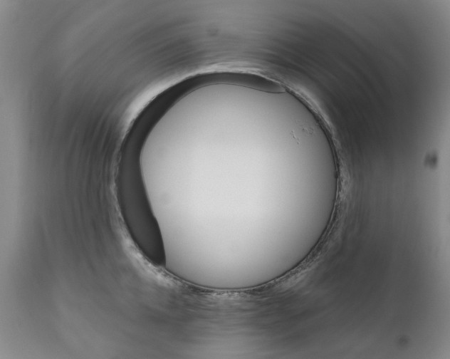 X0000111240952200907231525