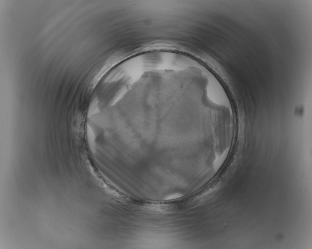 X0000111240953200907231525