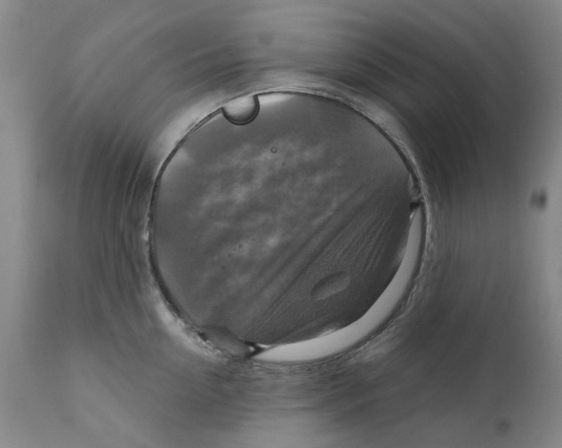 X0000111240954200907231525