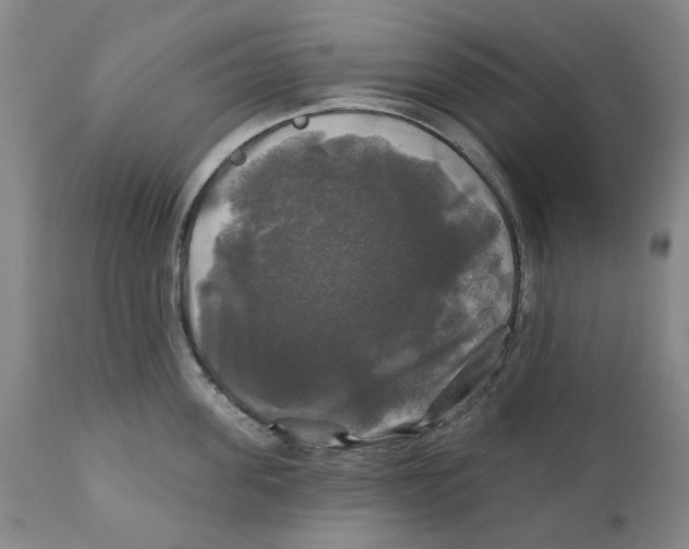 X0000111240955200907231525