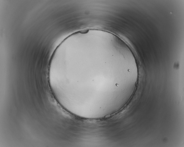 X0000111240956200907231525