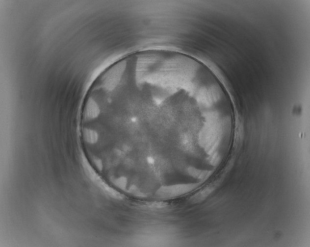 X0000111240957200907231525