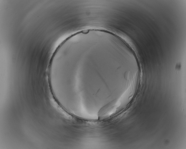 X0000111240958200907231525