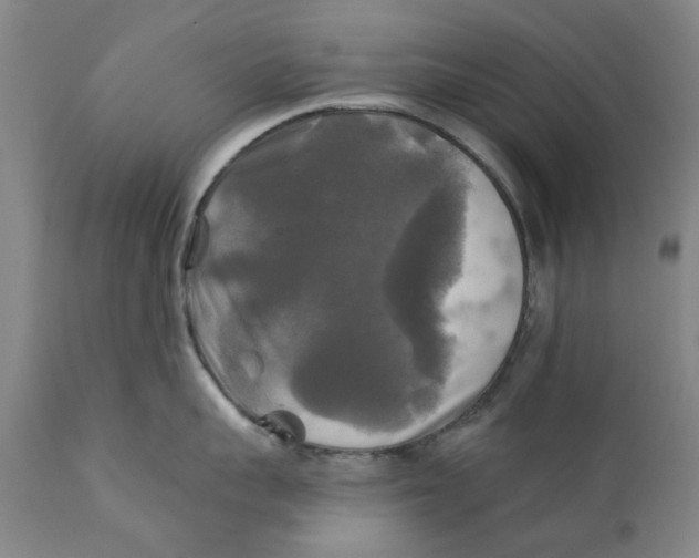 X0000111240959200907231525