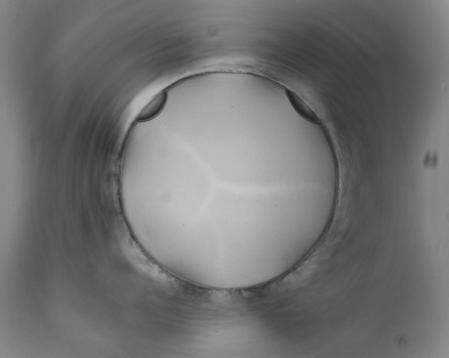 X0000111240960200907231525