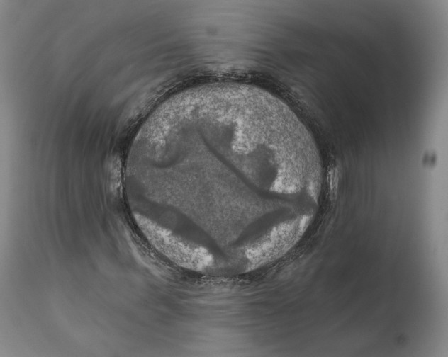 X0000111240963200907231524