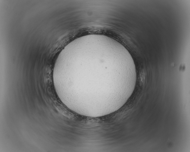 X0000111240964200907231524