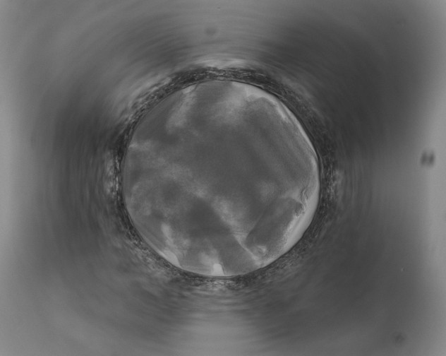 X0000111240966200907231524