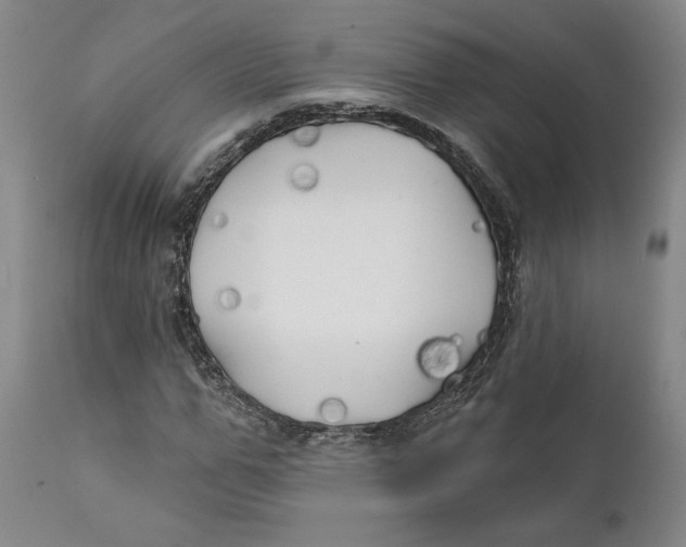 X0000111240967200907231524