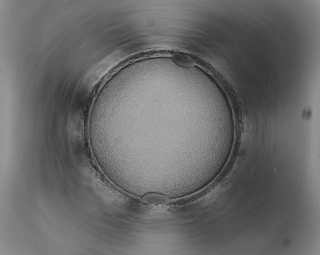 X0000111240969200907231524