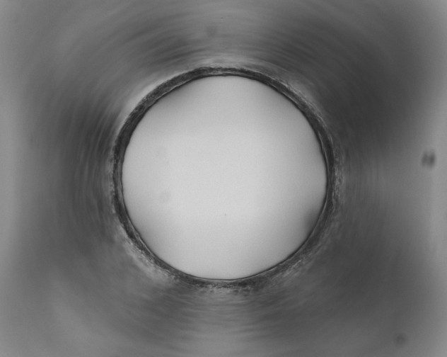 X0000111240976200907231524