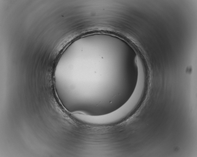 X0000111240977200907231524