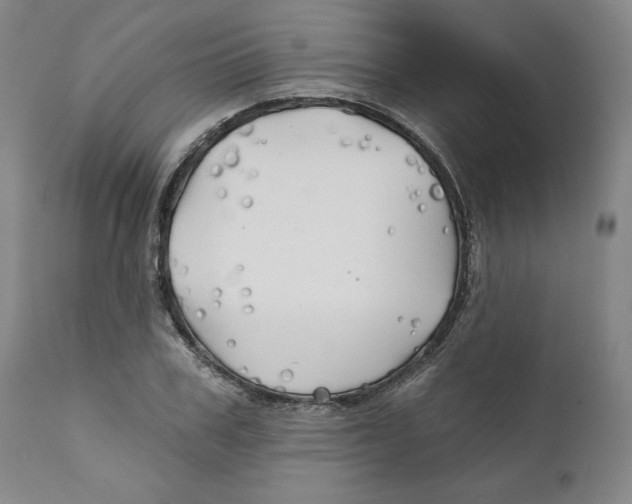 X0000111240979200907231524