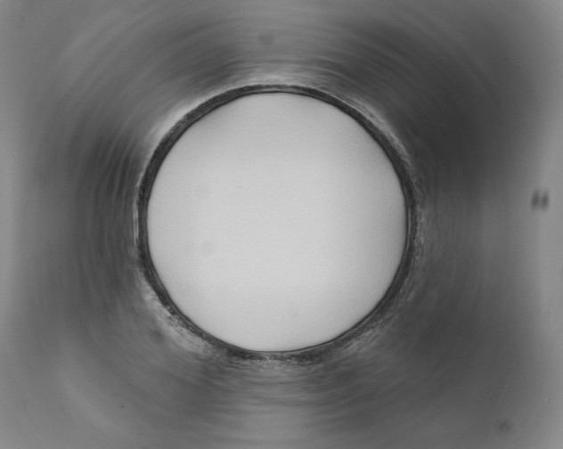 X0000111240980200907231524