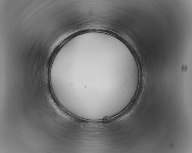 X0000111240981200907231524