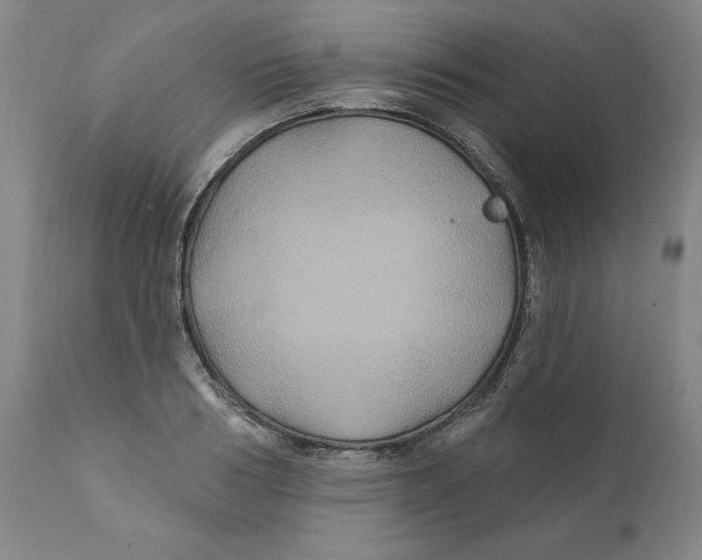 X0000111240986200907231524