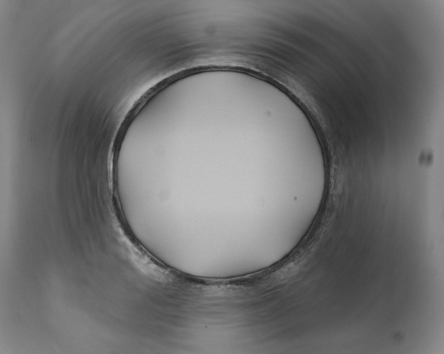 X0000111240988200907231524