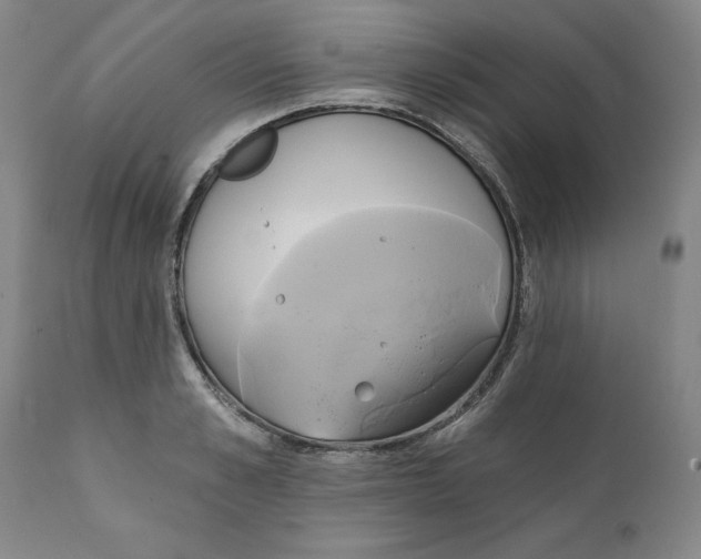 X0000111240989200907231524