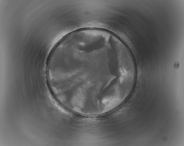 X0000111240990200907231524