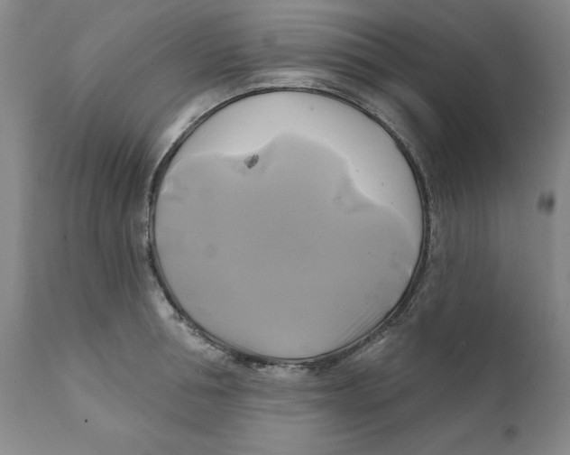 X0000111240994200907231524