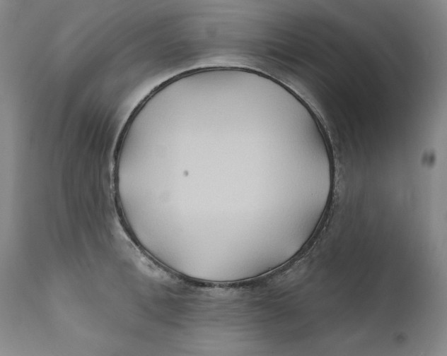 X0000111240996200907231524