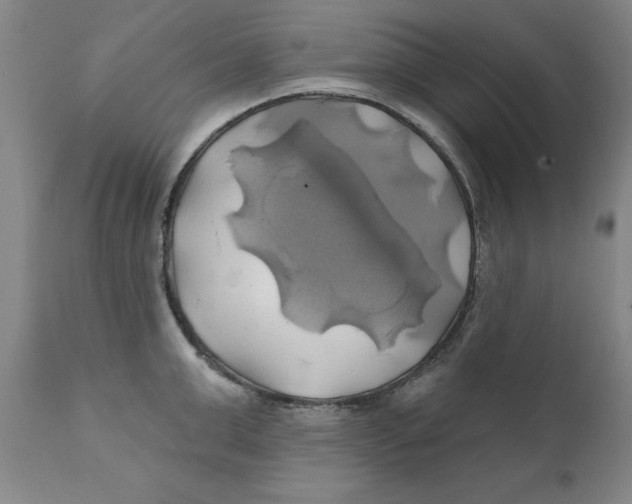 X0000111240999200907231524