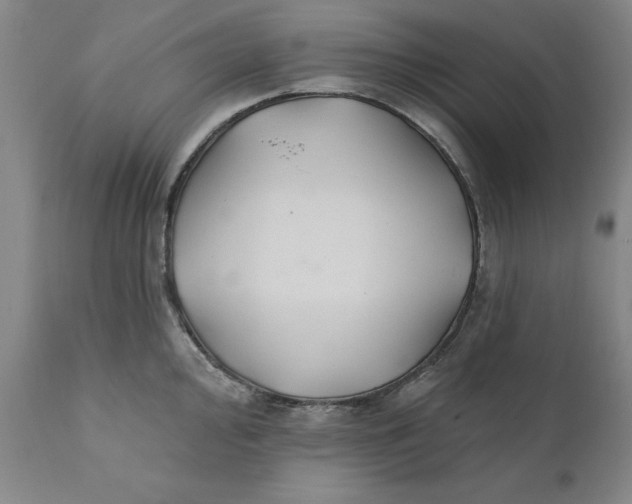 X0000111241000200907231524