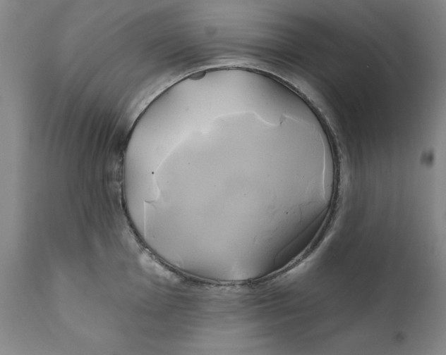 X0000111241001200907231524